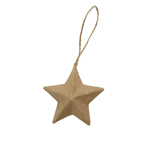 Papieren ster