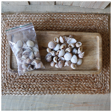 Schelpen gebruik: Schelpen