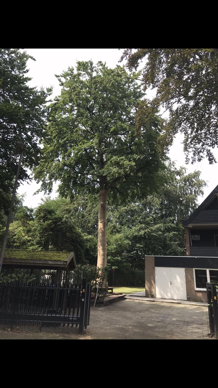 Jute op rol gebruik: Jute op rol