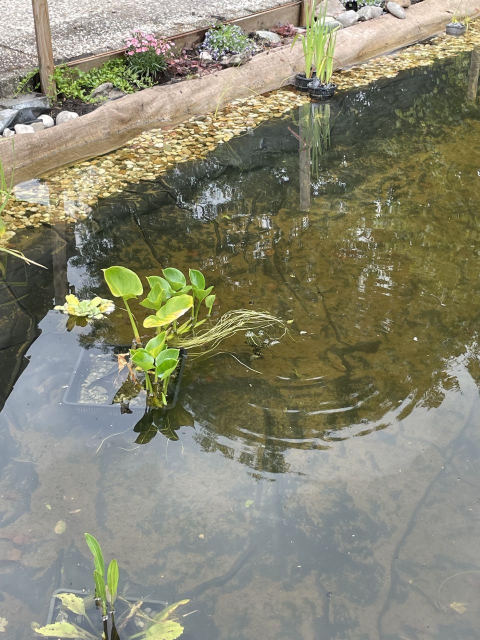 Jute tafelloper 30 cm x 25 meter gebruik: Jute tafelloper 30 cm x 25 meter