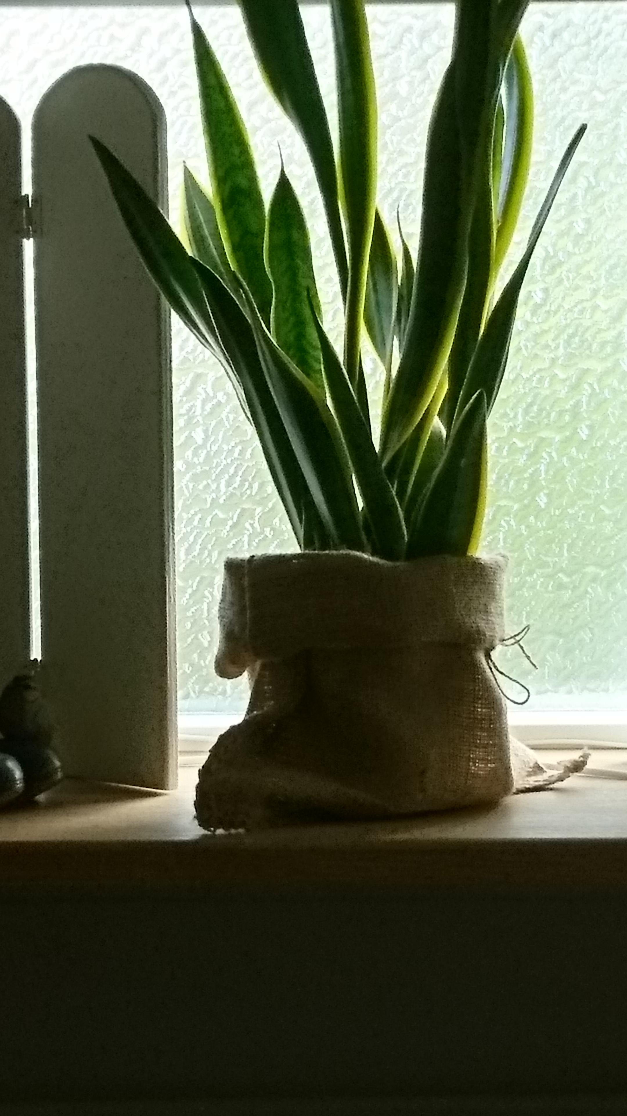 Jute zakken gebruik: Jute zakken