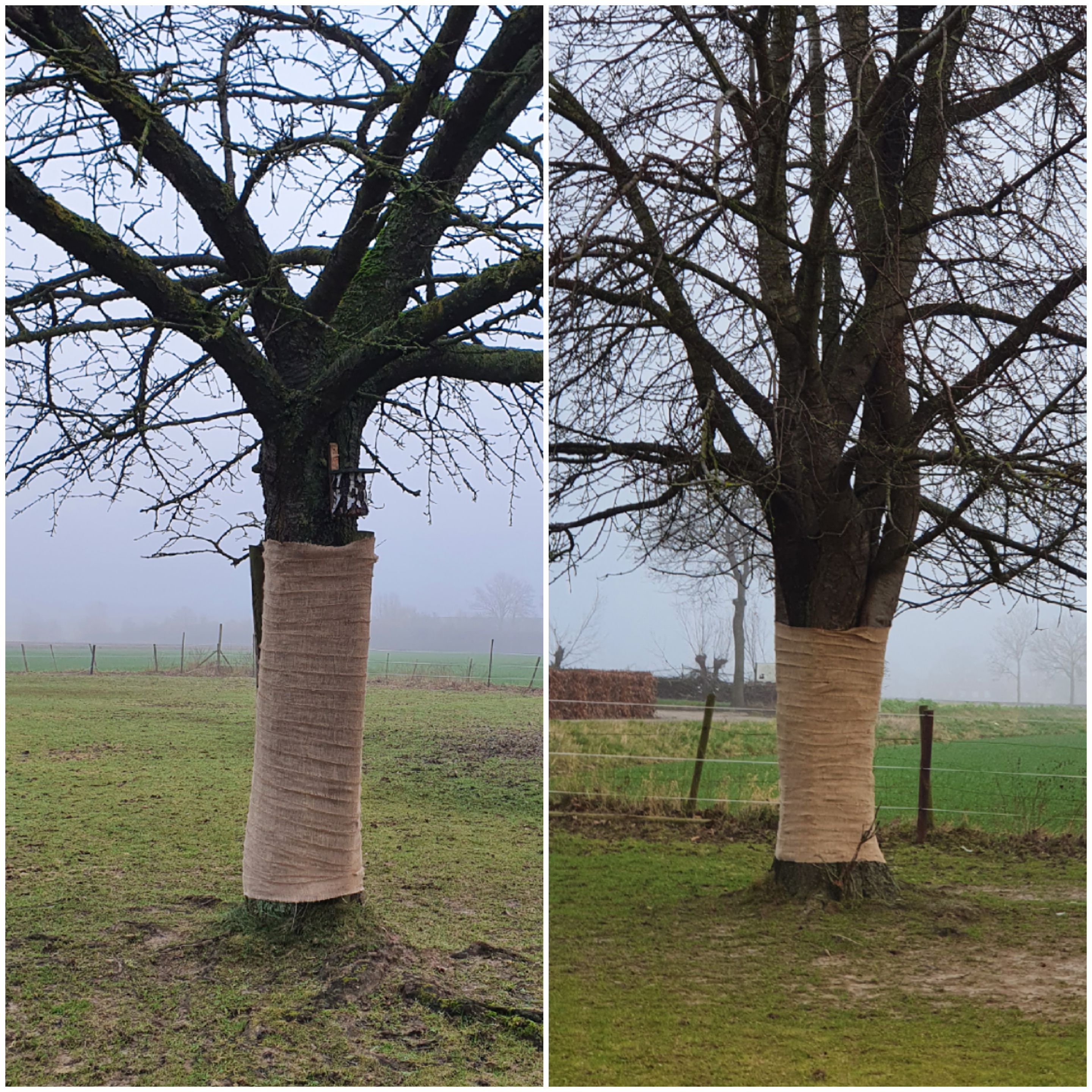 Jute op rol gebruik: Jute op rol