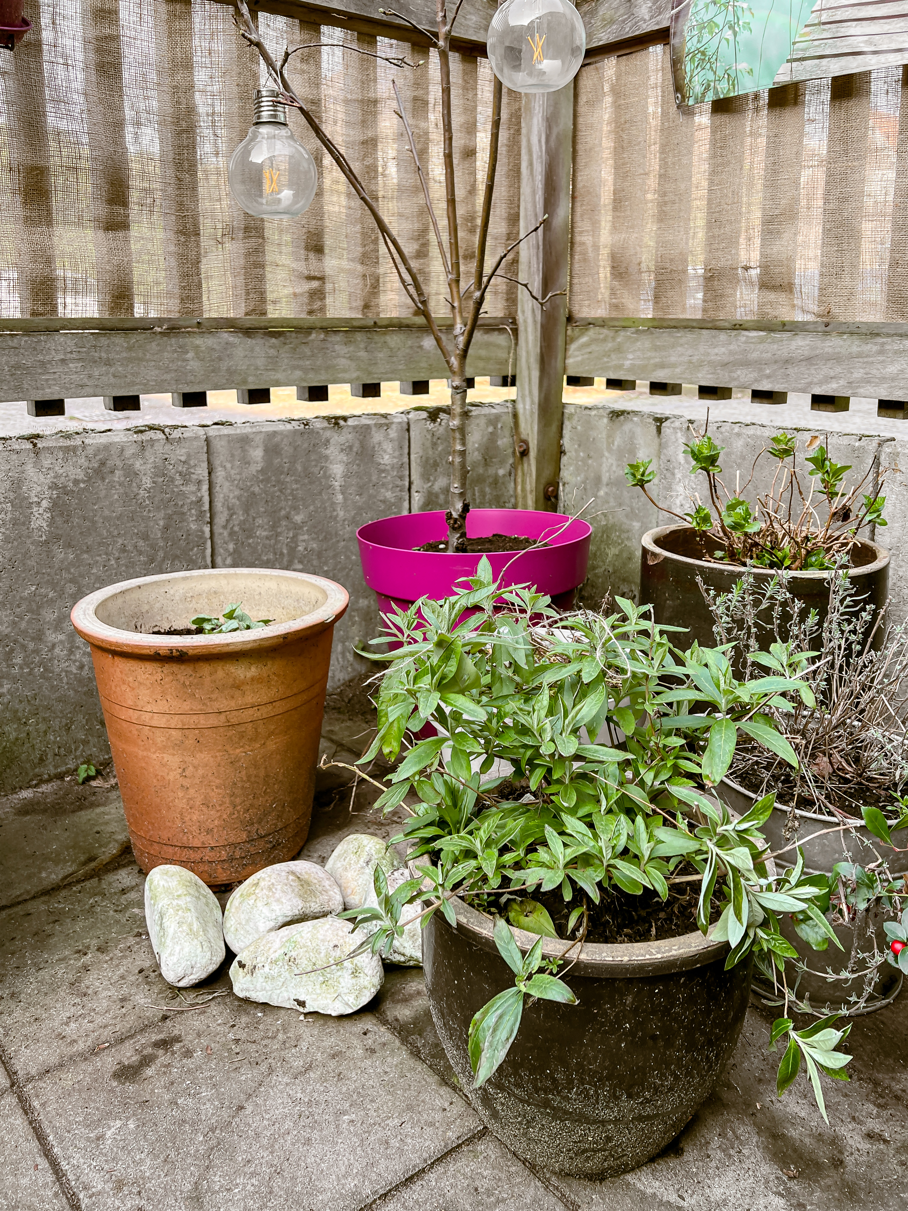 Jute op rol gebruik: Jute op rol